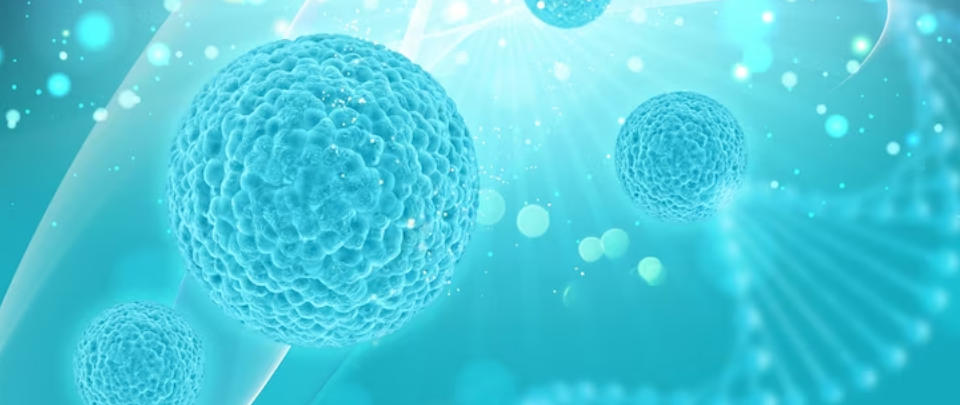 stem-cell-therapy-in-india