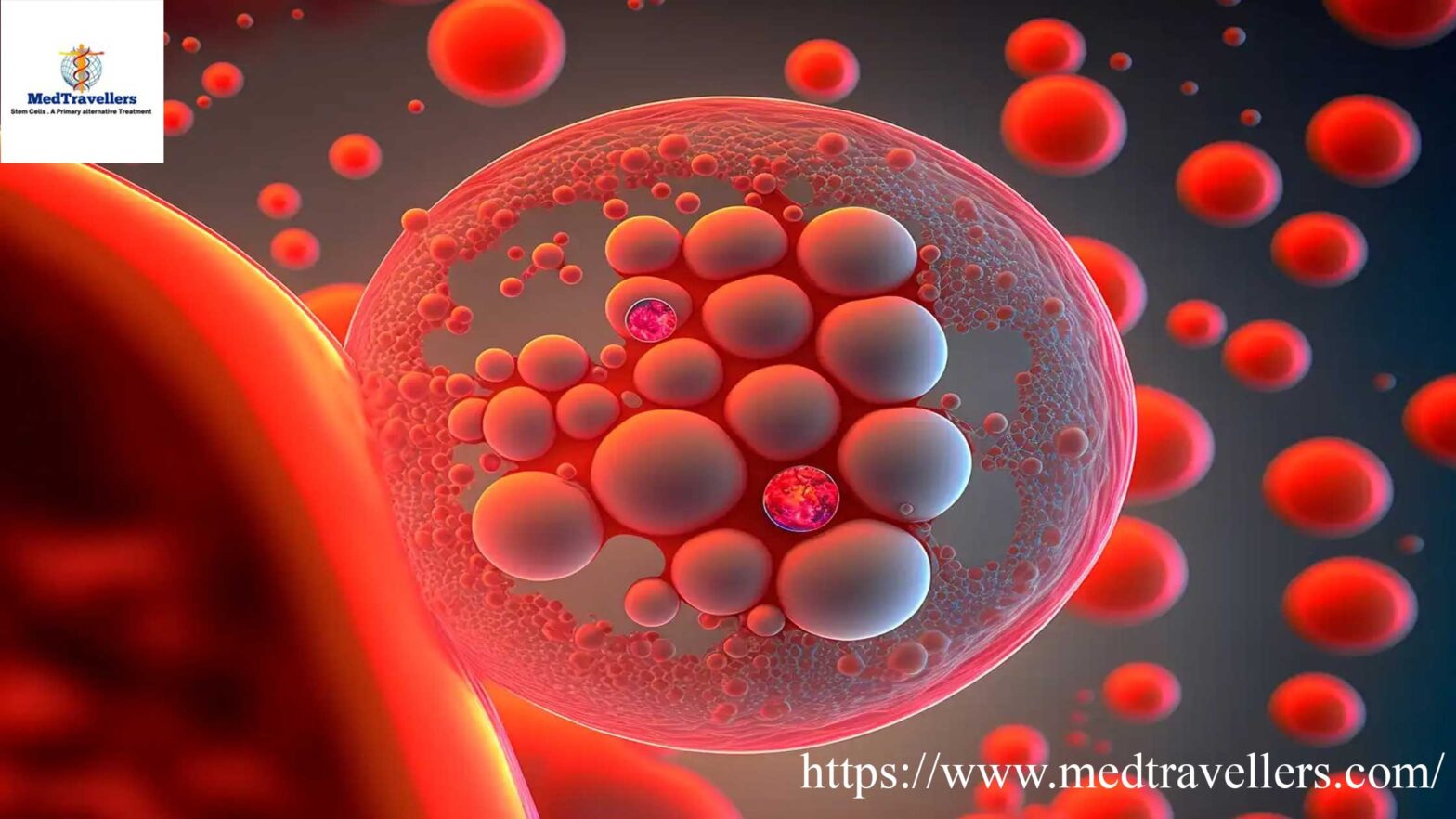 Stem Cell Therapy is revolutionary in india
