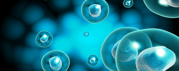 stem cell therapy for Australian patients