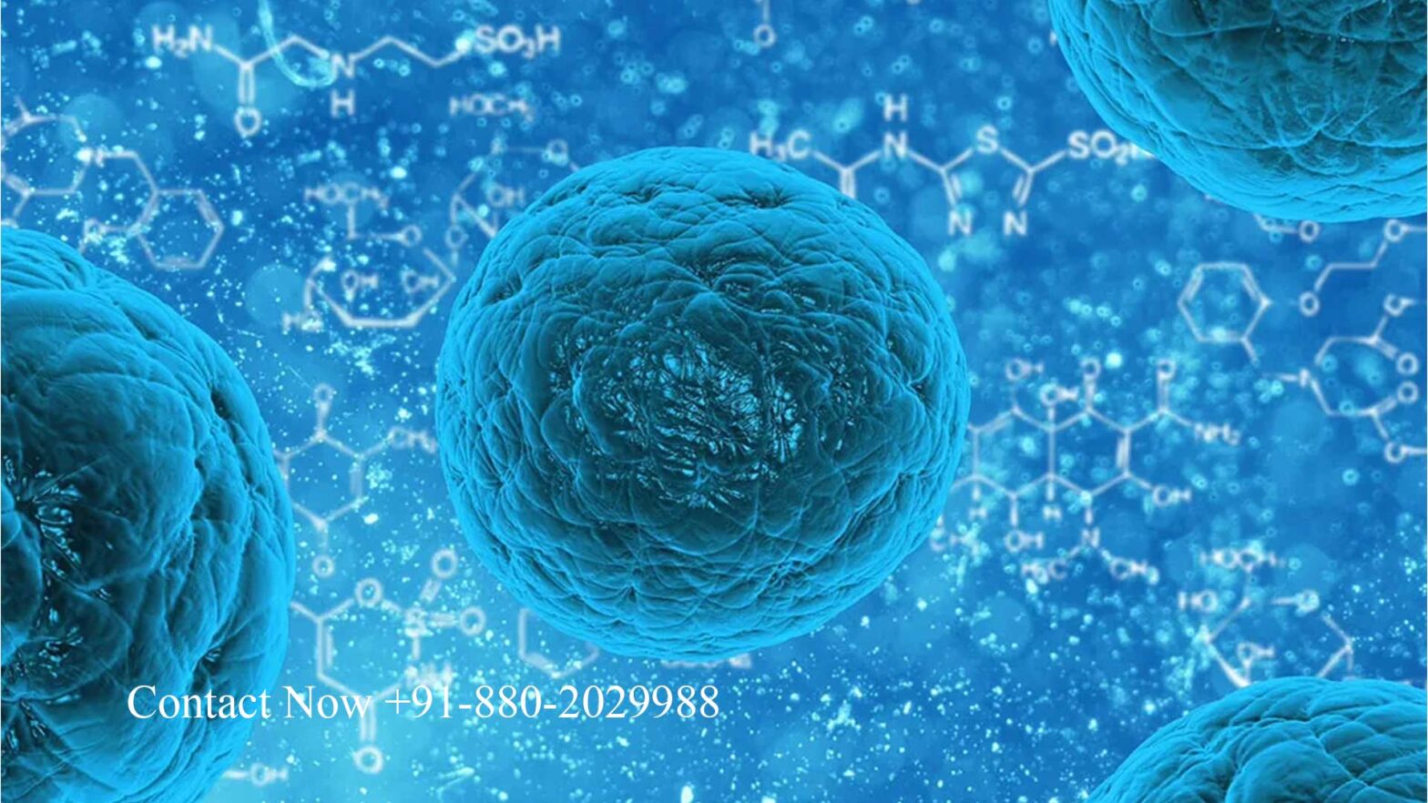 Medtravellers Stem Cell Therapy A Leading Center for Regenerative Medicine in New Delhi India